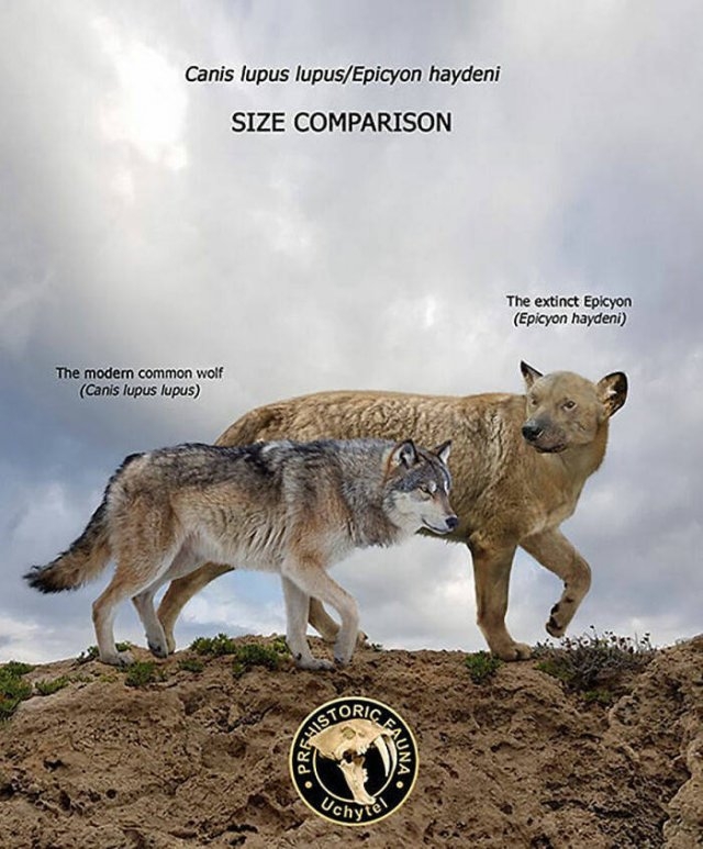 prehistoricsizecomparison_020