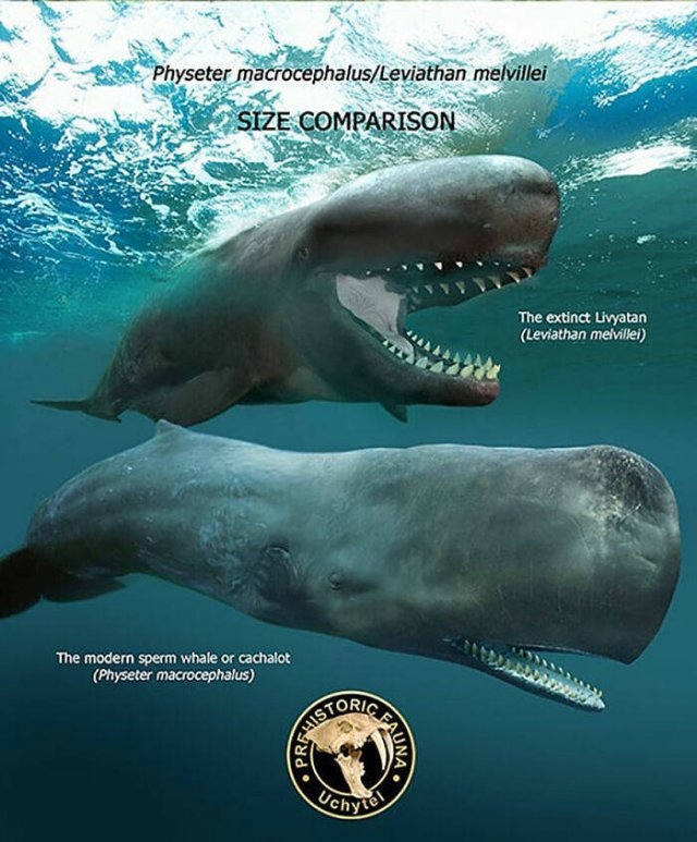 prehistoricsizecomparison_021