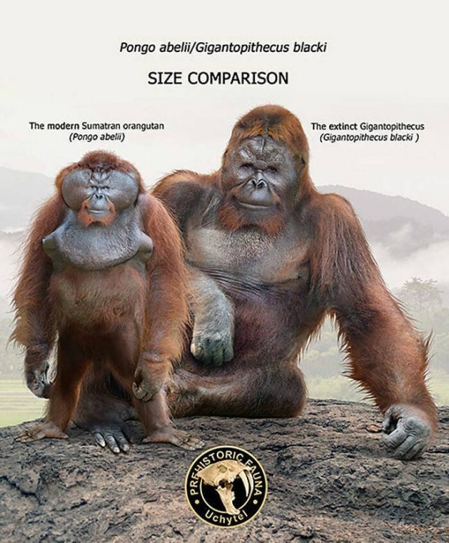 prehistoricsizecomparison_023