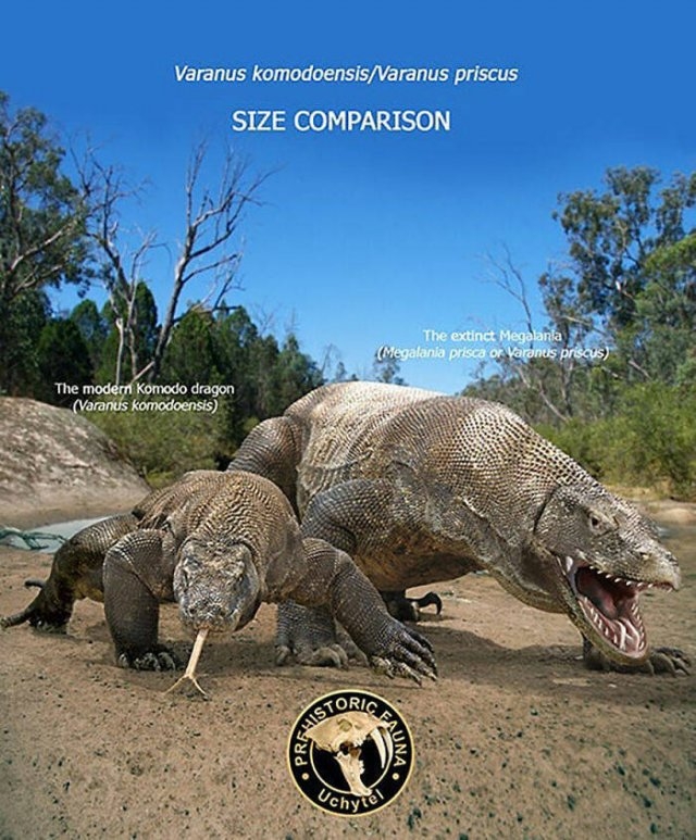 prehistoricsizecomparison_024