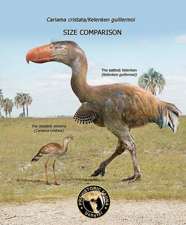 prehistoricsizecomparison_025