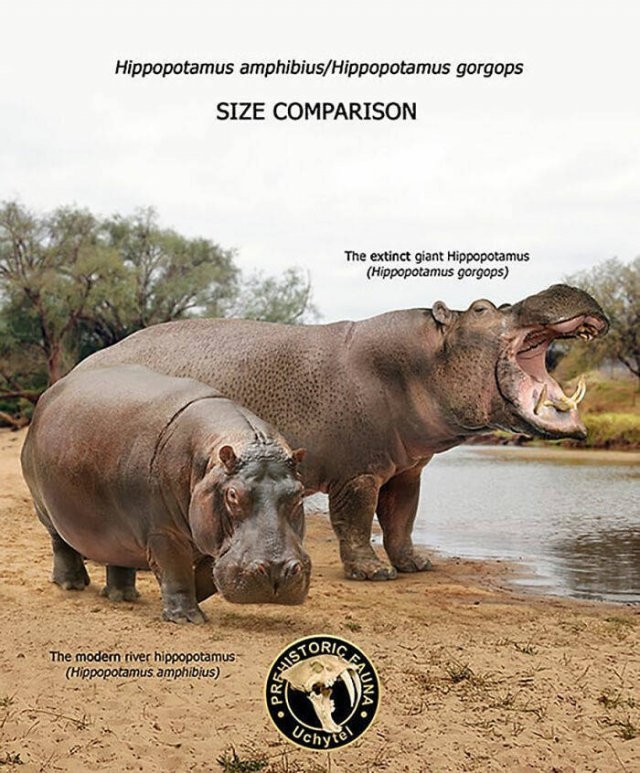 prehistoricsizecomparison_026