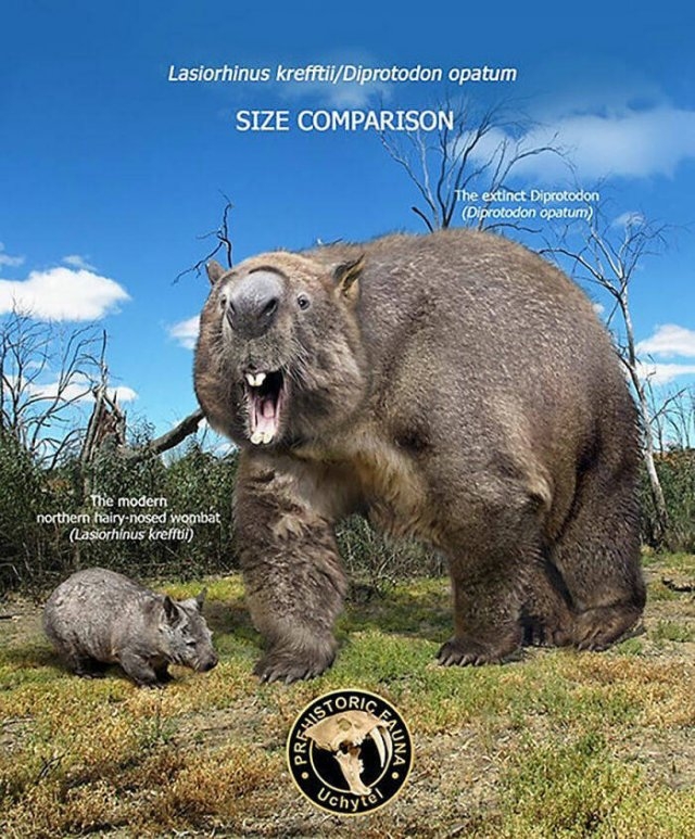 prehistoricsizecomparison_027