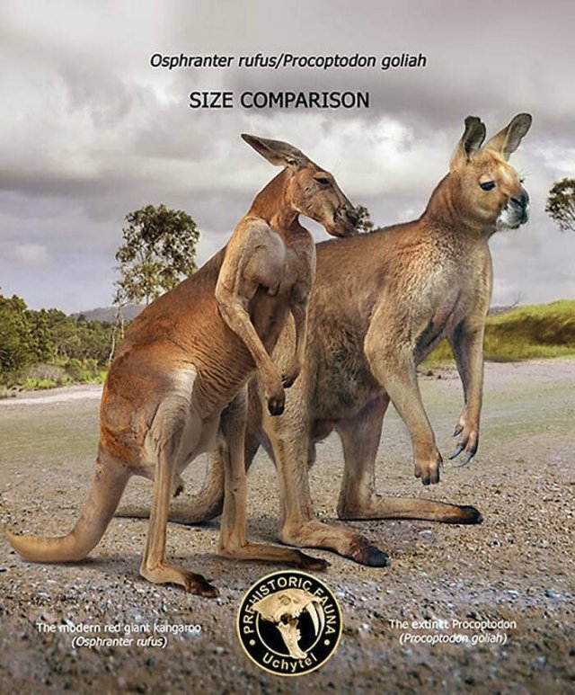 prehistoricsizecomparison_029