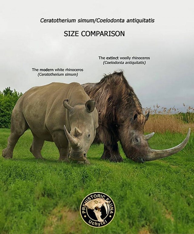 prehistoricsizecomparison_030