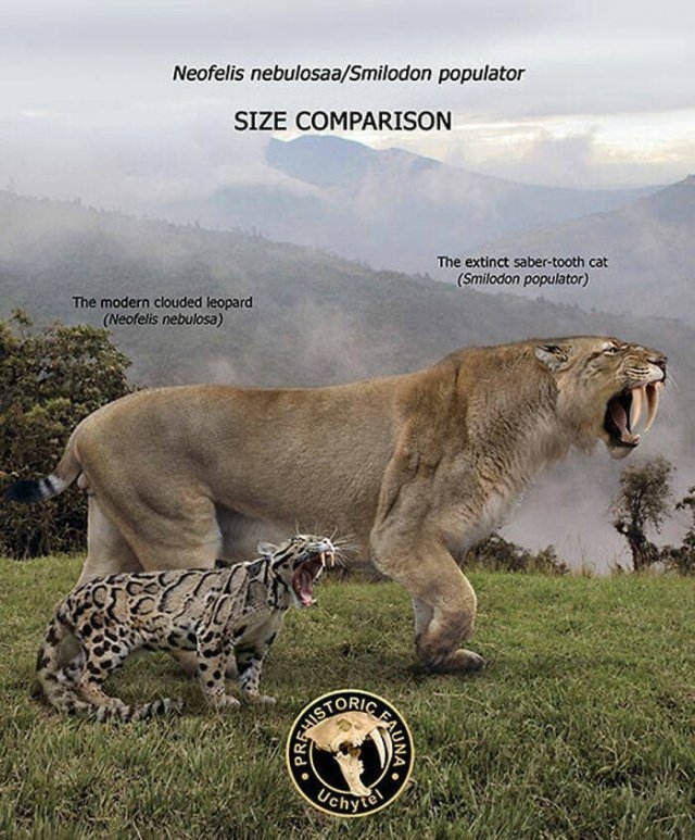 prehistoricsizecomparison_031