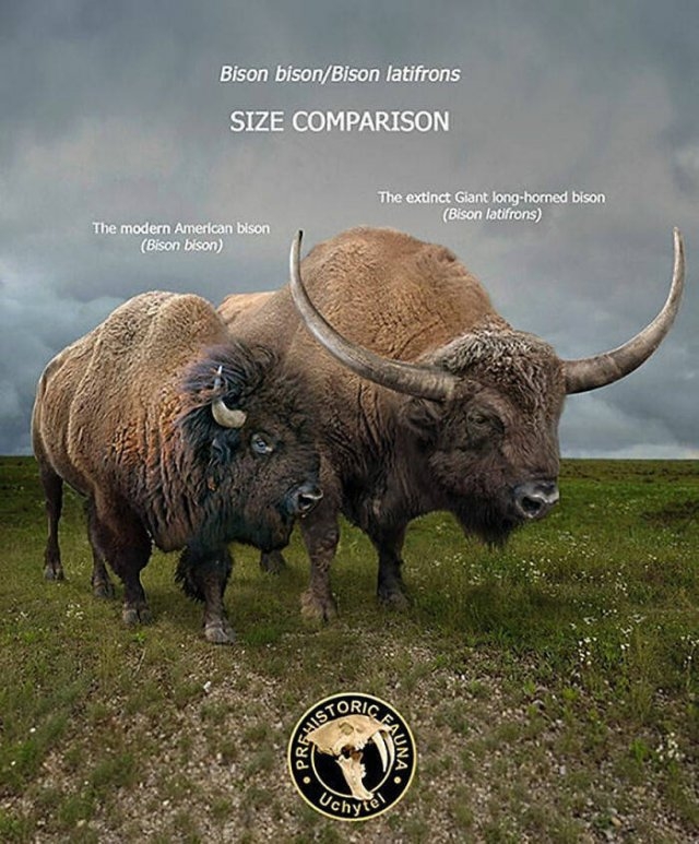 prehistoricsizecomparison_032