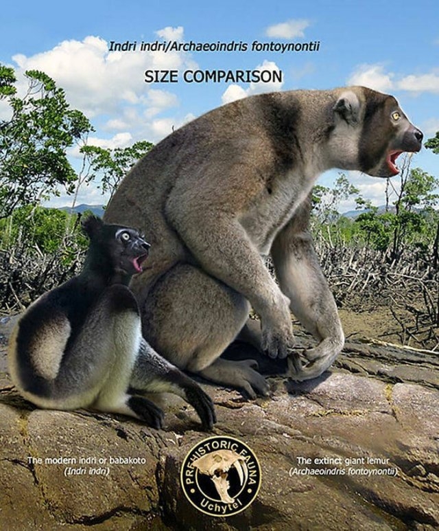 prehistoricsizecomparison_033