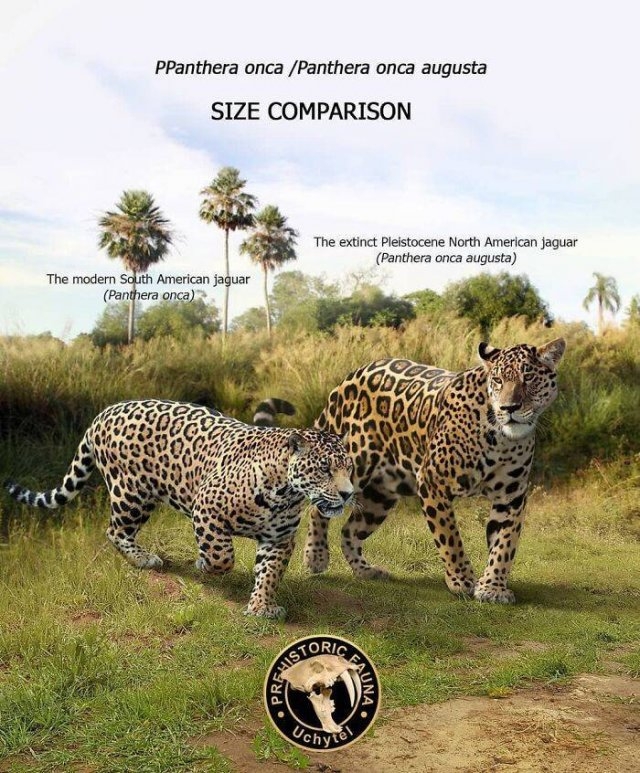 prehistoricsizecomparison_034