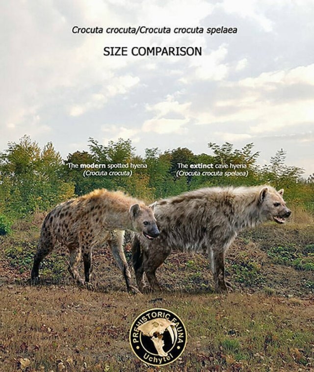 prehistoricsizecomparison_036