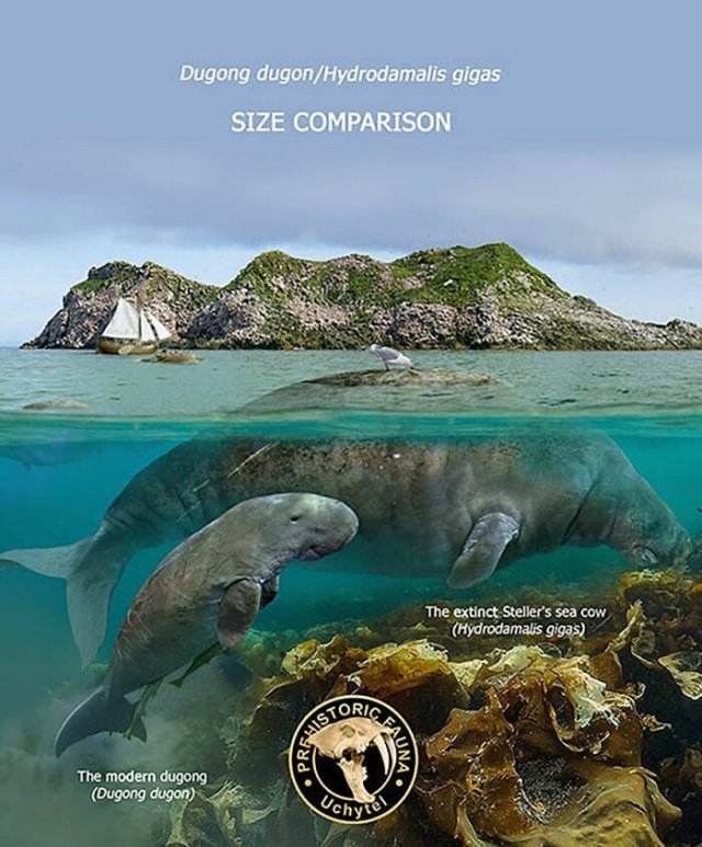 prehistoricsizecomparison_037