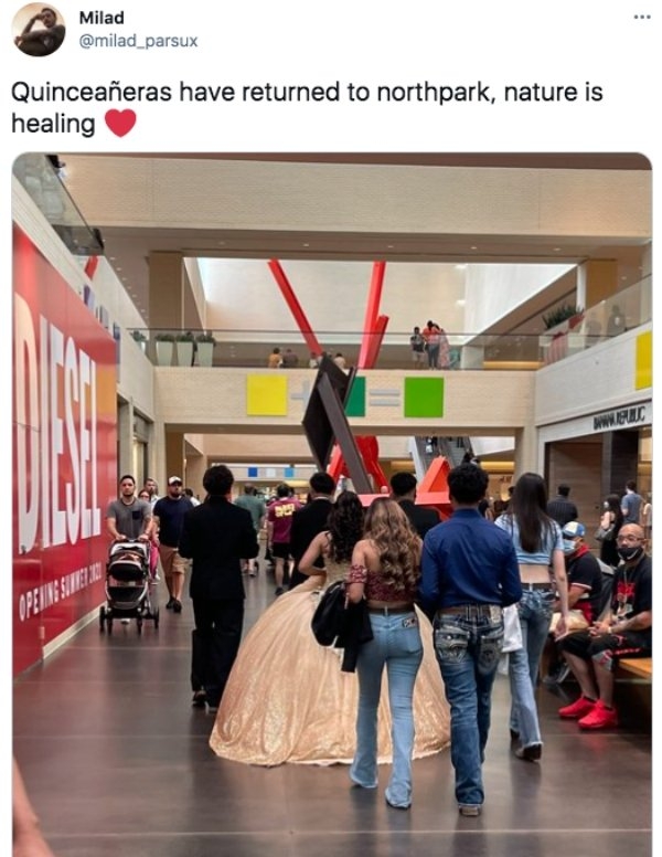 quarantinememes2_009