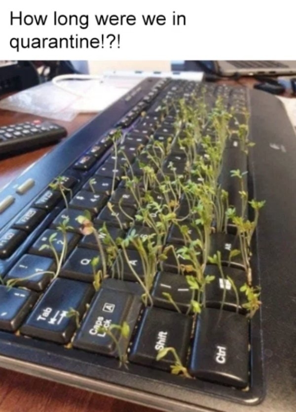 quarantinememes2_018