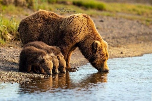 randompics263_070