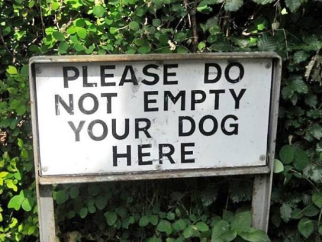 randompics263_075