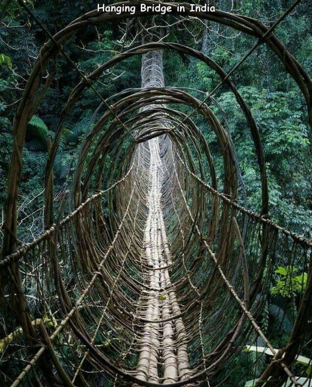 randompics263_081