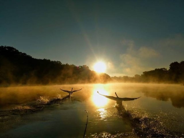 randompics269_088