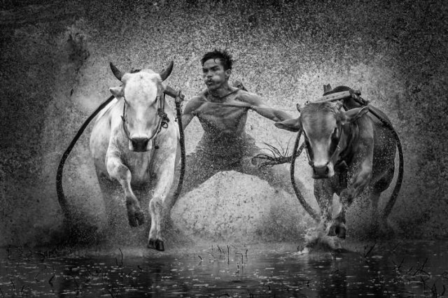 randompics270_002