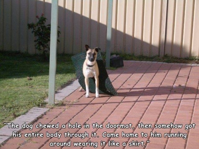 randompics270_062