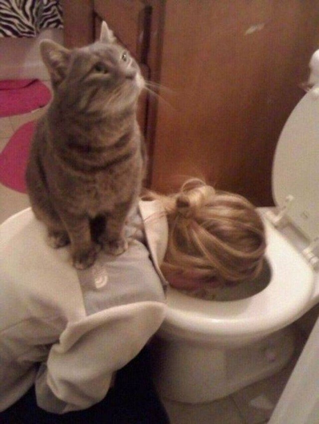 randompics270_070