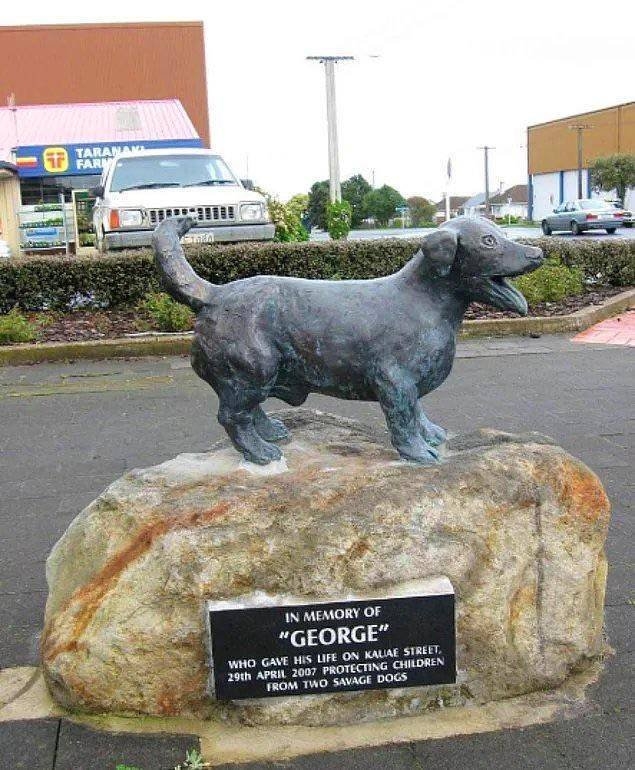 randompics285_058
