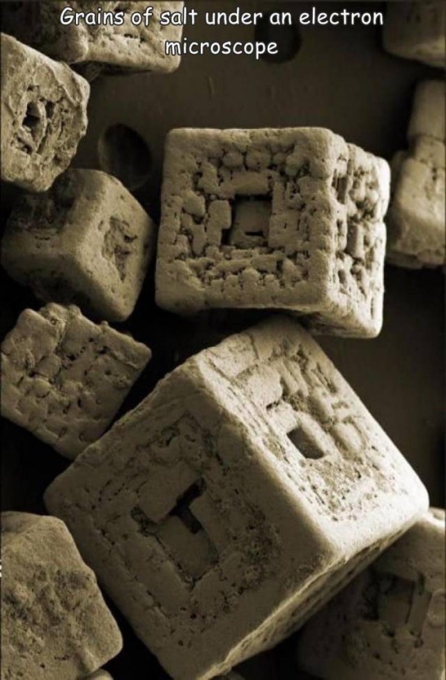 randompics305_070