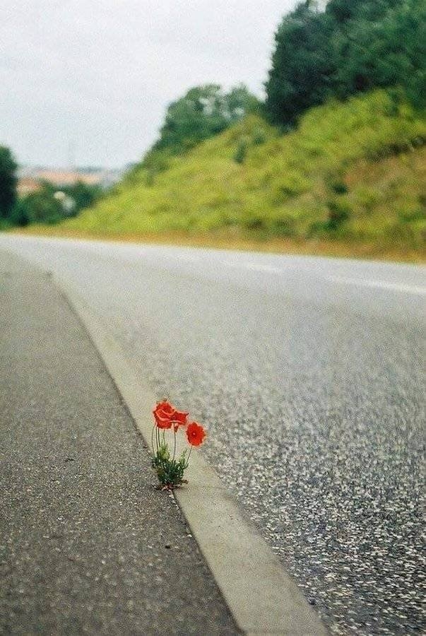 randompics320_074
