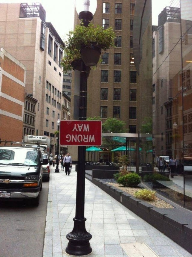 randompics333_053