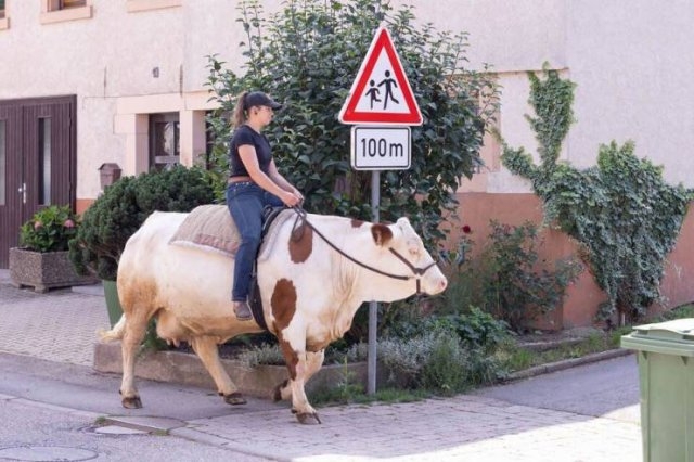 randompics336_059
