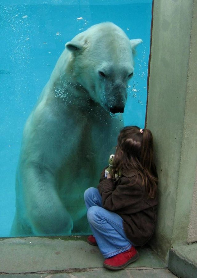 randompics341_022