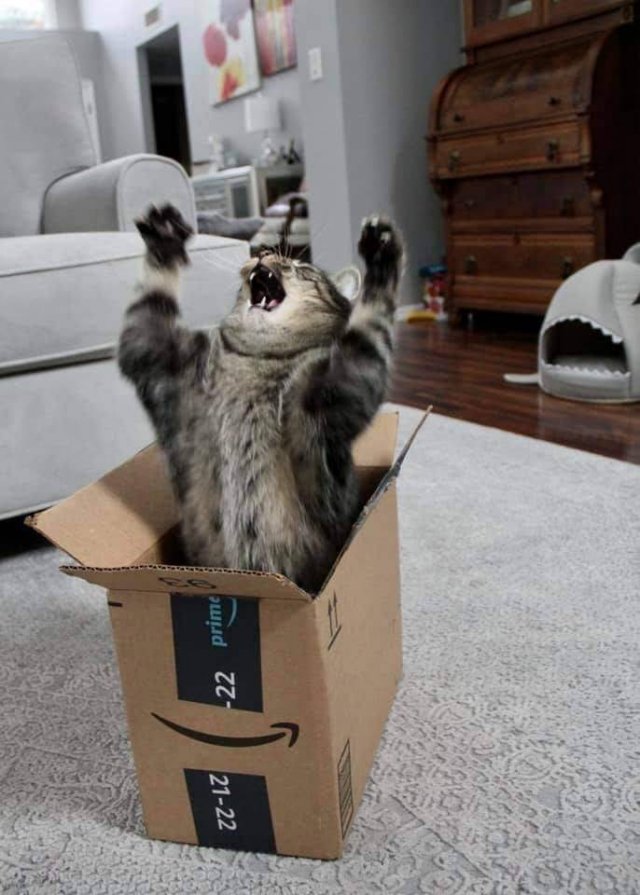 randompics341_062