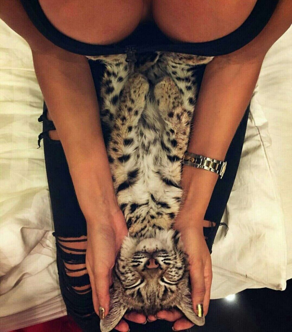 randompicsforadults_026