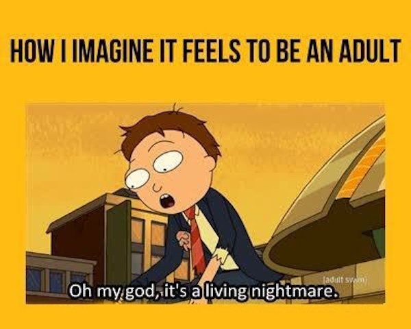 rickandmortymemes_006