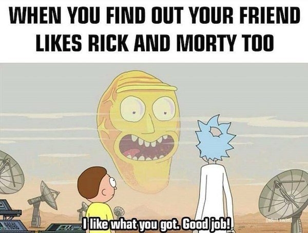 rickandmortymemes_013