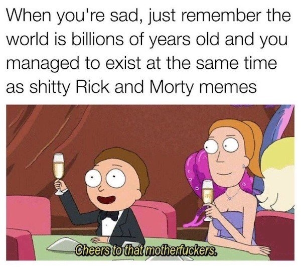 rickandmortymemes_026