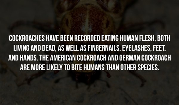scaryfacts3_007