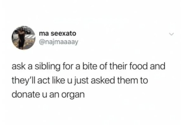 siblinghumor_018