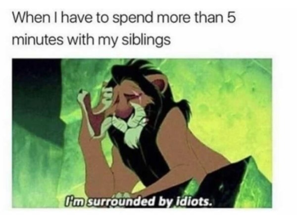 siblinghumor_023