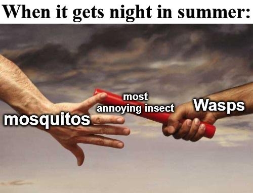 summermemes_018