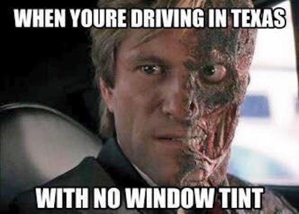 texasmemes2_004