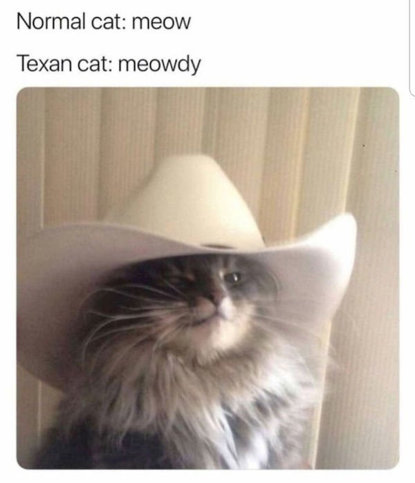 texasmemes2_014