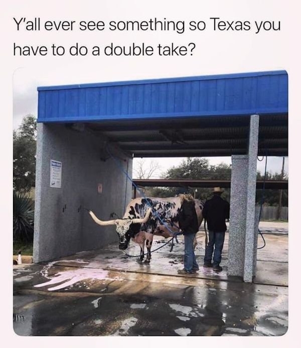 texasmemes2_021