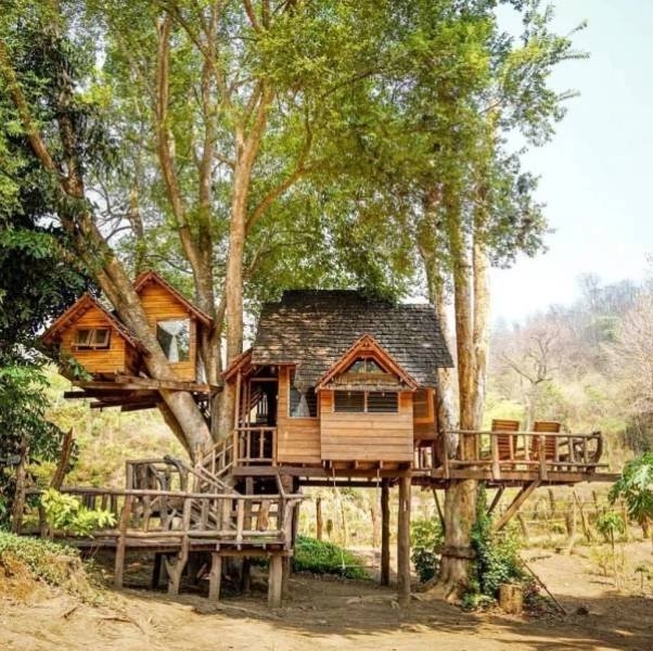 treehouses2_004