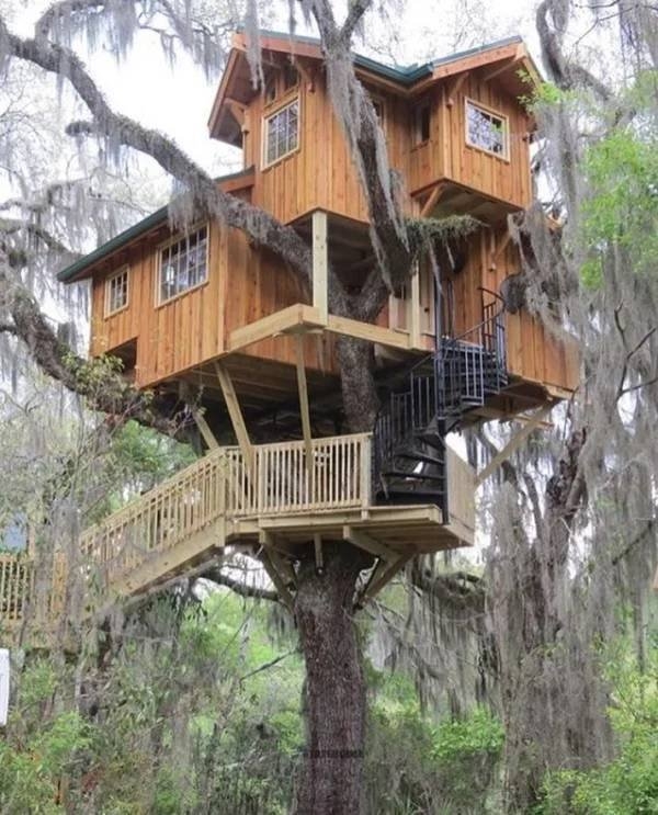 treehouses2_005