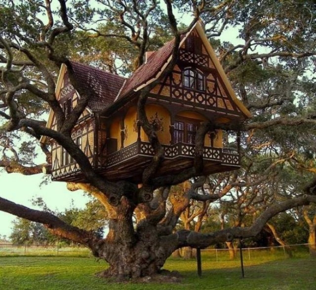 treehouses2_022