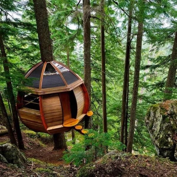 treehouses2_027