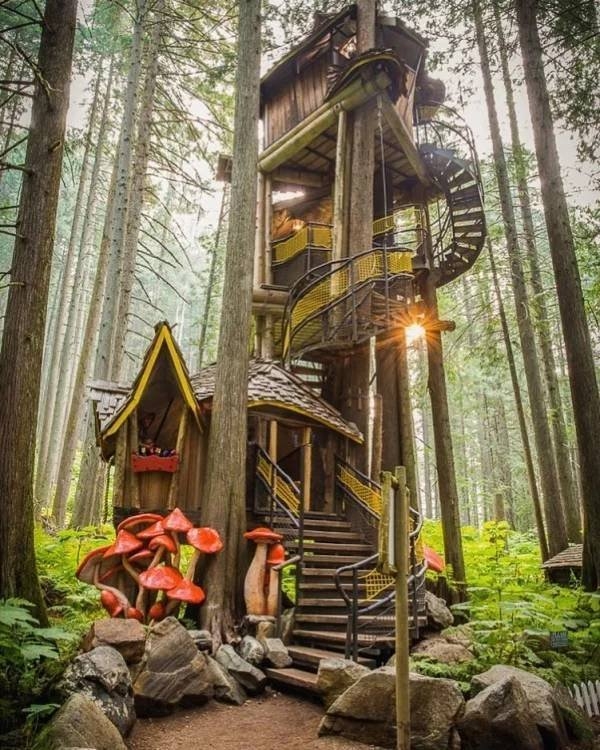 treehouses2_038