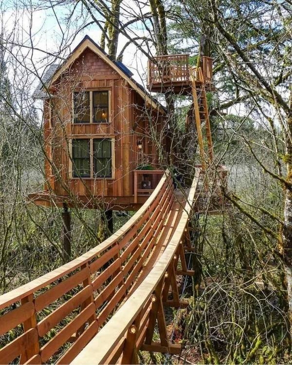 treehouses2_039