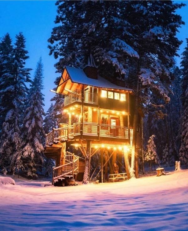 treehouses2_053