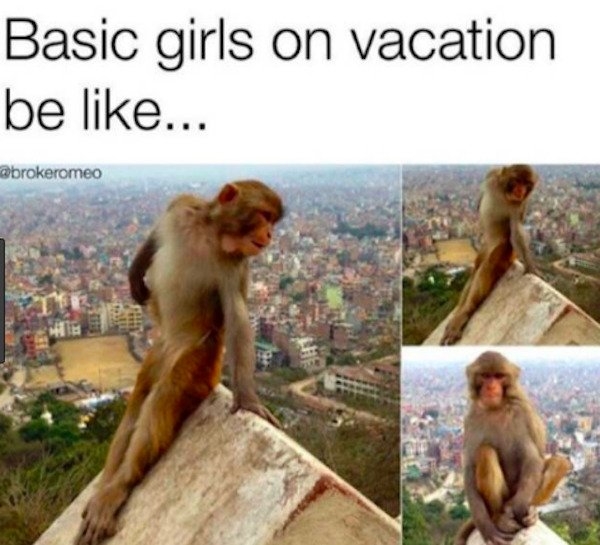 vacationmemes_009